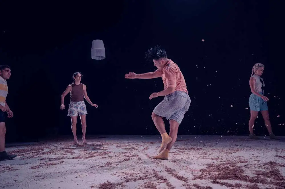 Danseur.euse.s spectacle la seule constante compagnie qui n'existait pas