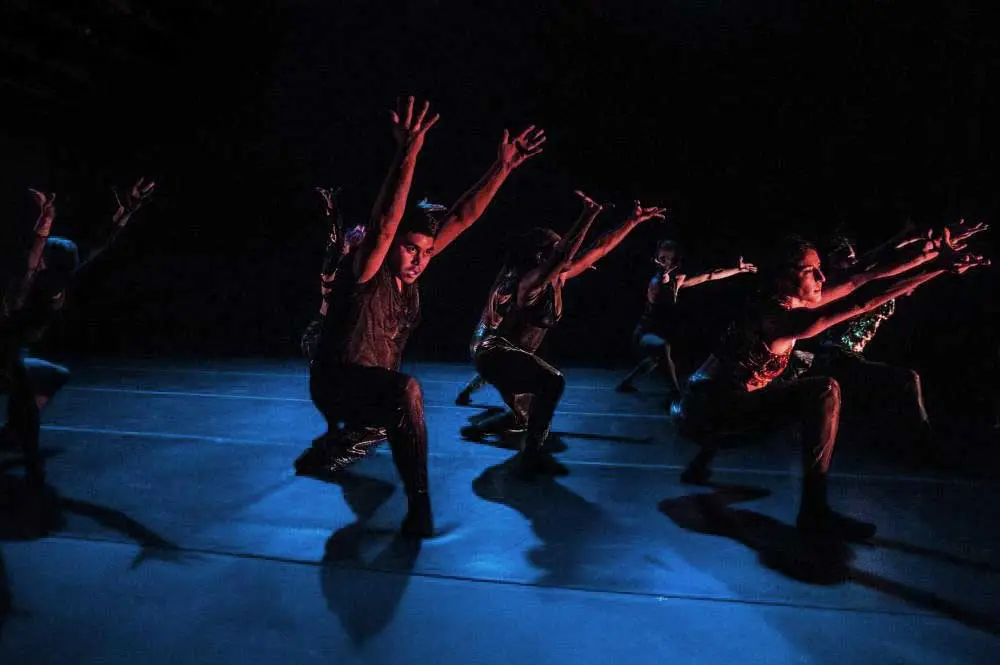 Spectacle entaché captation danseur.euse.s